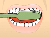 The american dental association is a member of the american dental association.