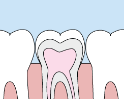 The american dental association is a member of the american dental association.